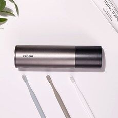 product image of 프리쉐 UV LED 스테인리스 무선 칫솔 살균기 PA-TS9000, 블랙